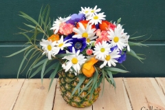 ananas-1