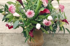 medicis-rose-1