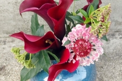 medicis-rose-4